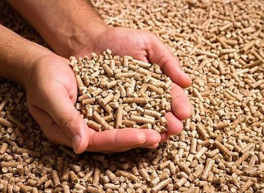 Estufa de pellet en un salón moderno